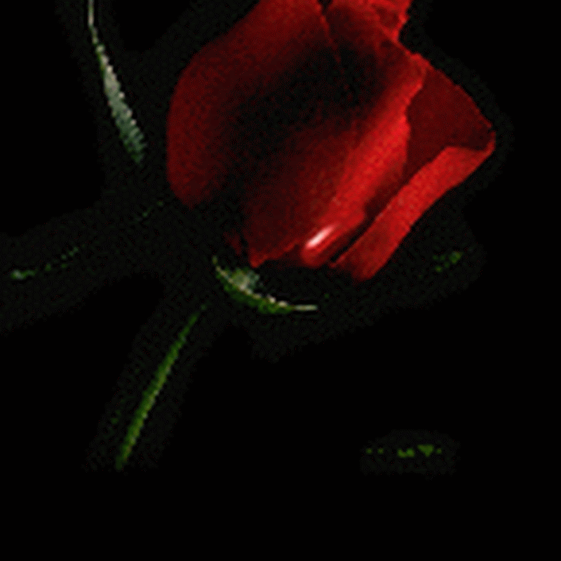 AJBlog
